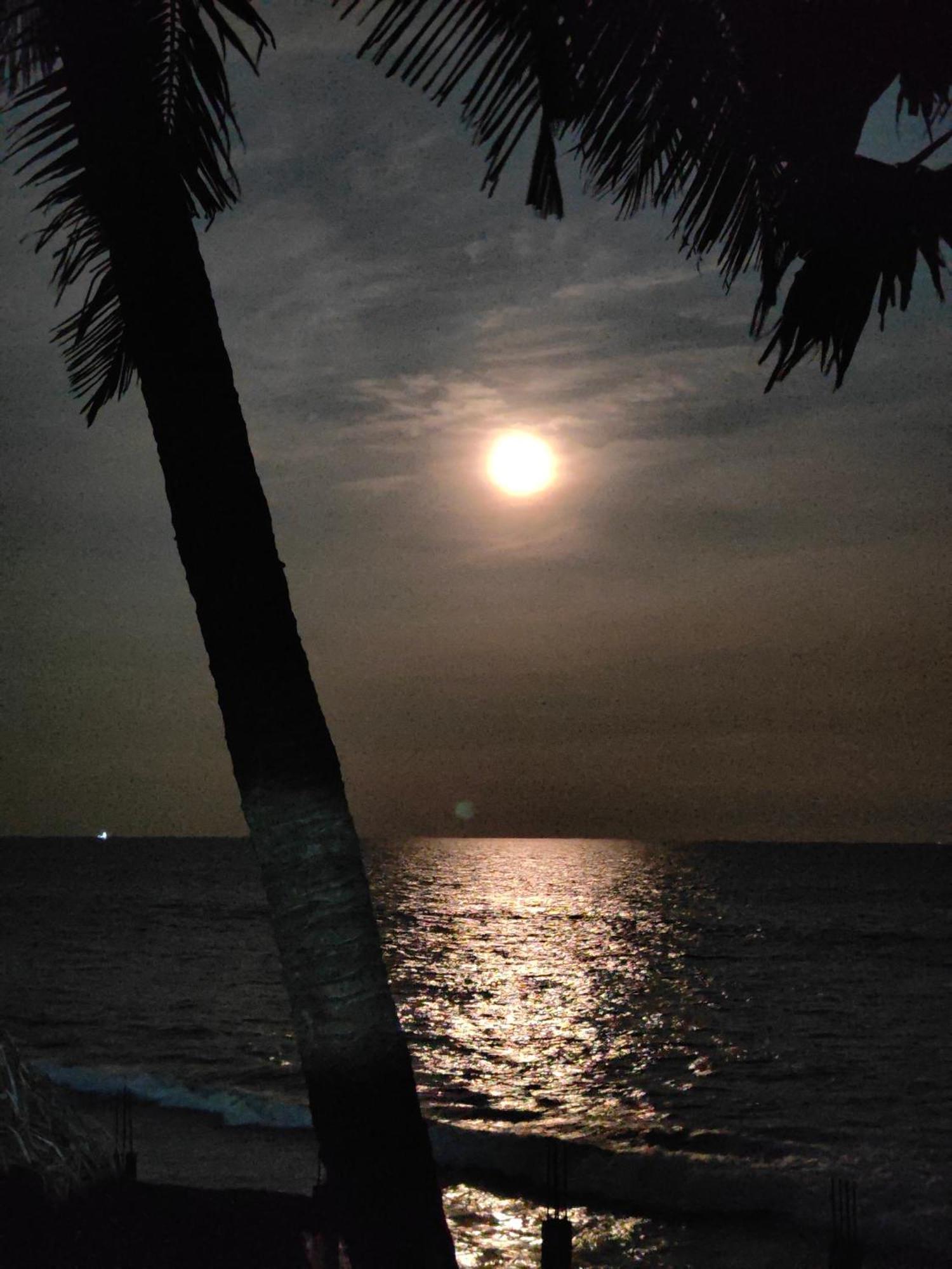 Le Serene Independent Beach Villa Kottakuppam Esterno foto